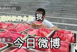 吃瓜爆料全集视频下载免费,免费下载，一网打尽热门事件幕后真相