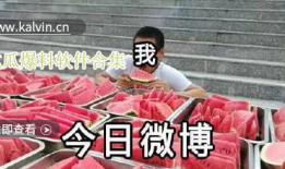 吃瓜爆料全集视频下载免费,免费下载，一网打尽热门事件幕后真相